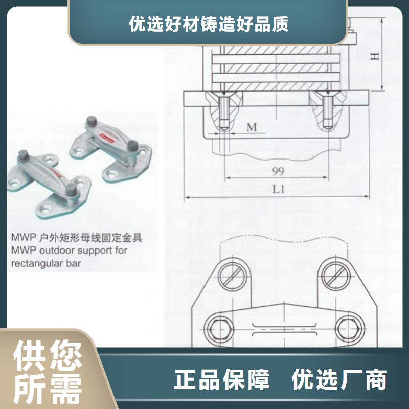 ZSW23-252/8支柱绝缘子【上海羿振电力设备有限公司】