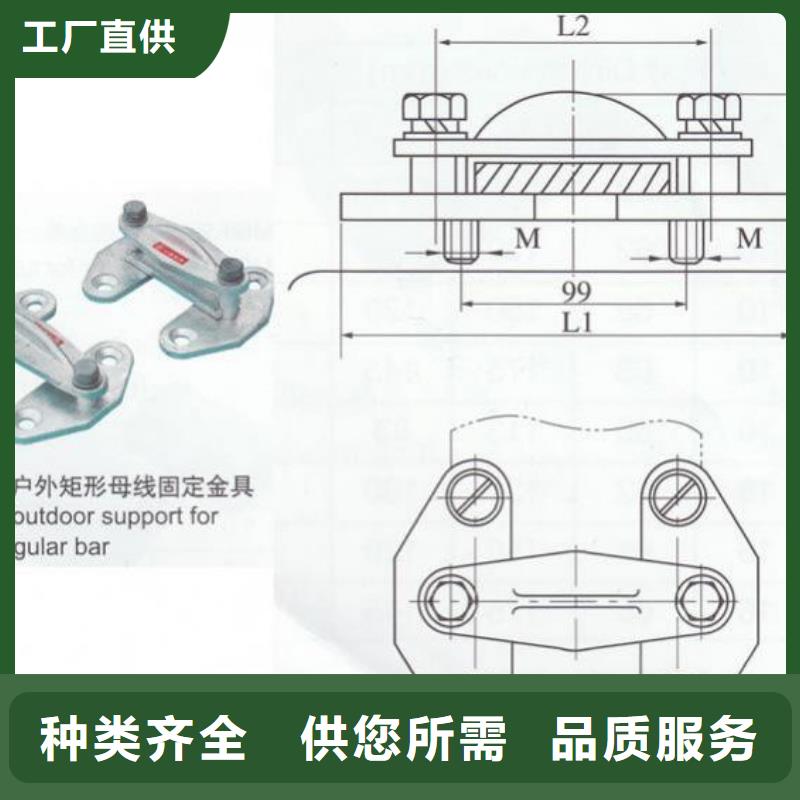 【羿振电力设备】MWP-102铜(铝)母线夹具选型