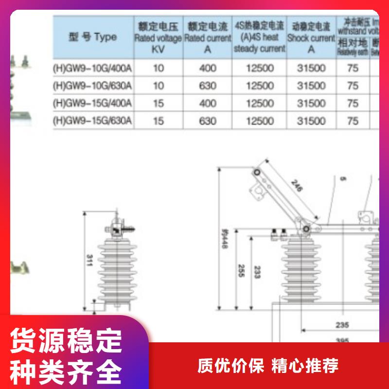 品牌：羿振GW9-12/1000