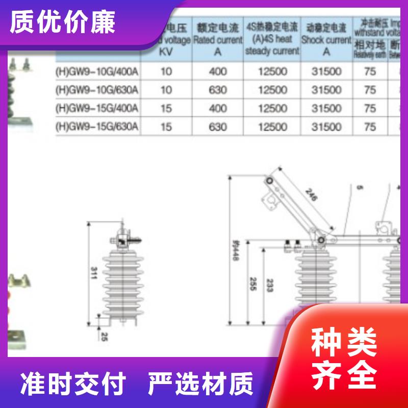 【隔离开关】HGW9-10/400