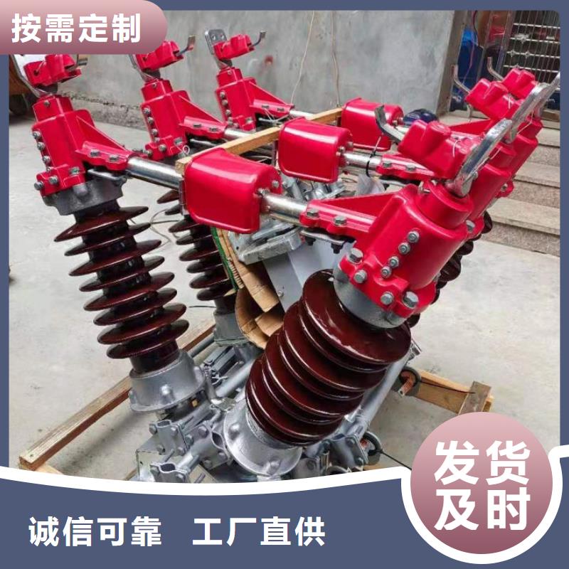 高压隔离开关HGW1-10KV/630A