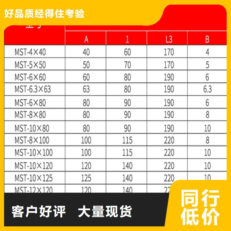 MS-100×8×450