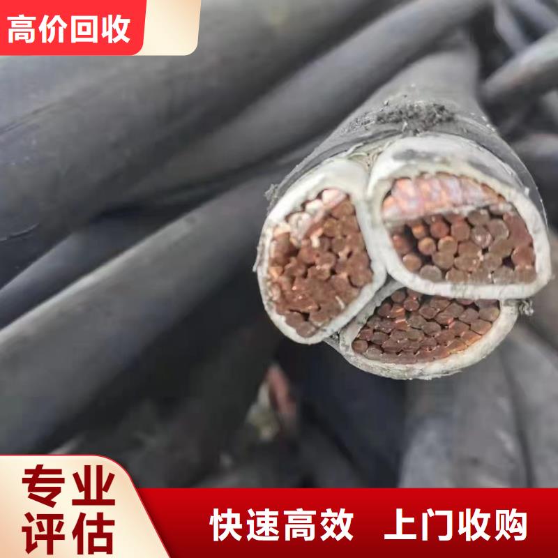 四川诚信定制铜电缆回收的公司