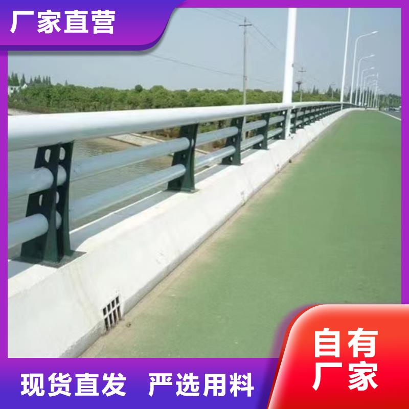 购买【森鑫】服务周到的不锈钢复合管道路护栏公司