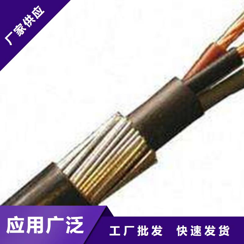 更多用户选择电话线NH-RVSP2X1.5