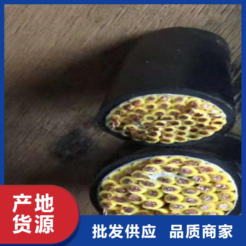 选购氟塑料耐高温电缆找天津市电缆总厂第一分厂