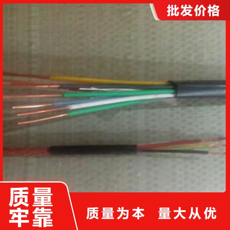 屏蔽电缆KVVRP2X1.0正规实体厂家