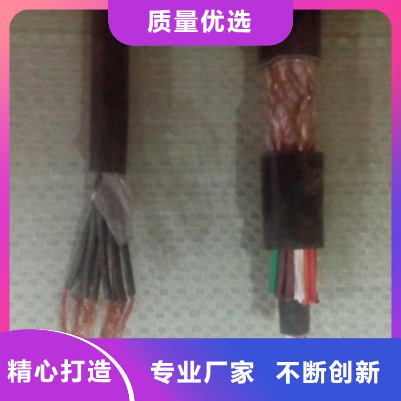 RS485镀锡导体通讯电缆、RS485镀锡导体通讯电缆厂家-认准天津市电缆总厂第一分厂