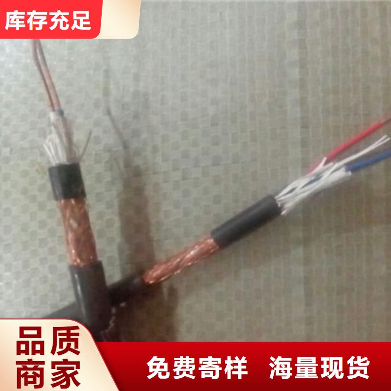 台州采购10X2X0.5计算机电缆实地货源