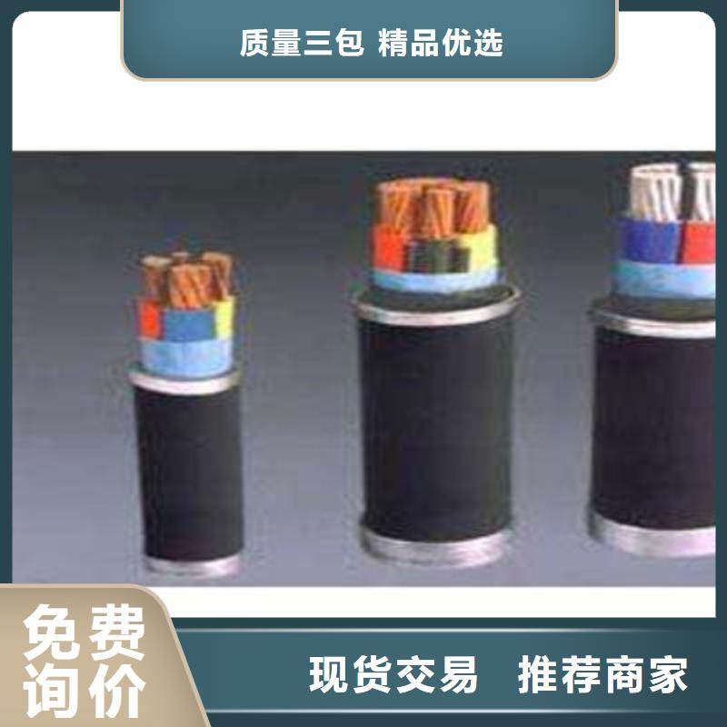 台州采购10X2X0.5计算机电缆实地货源