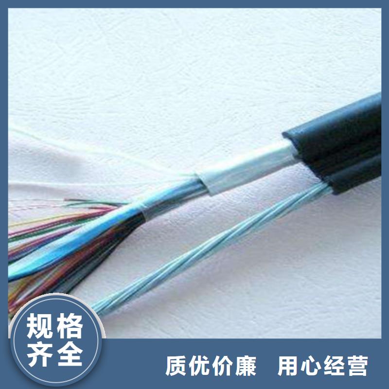 BVVSP软芯双绞电缆按需定制