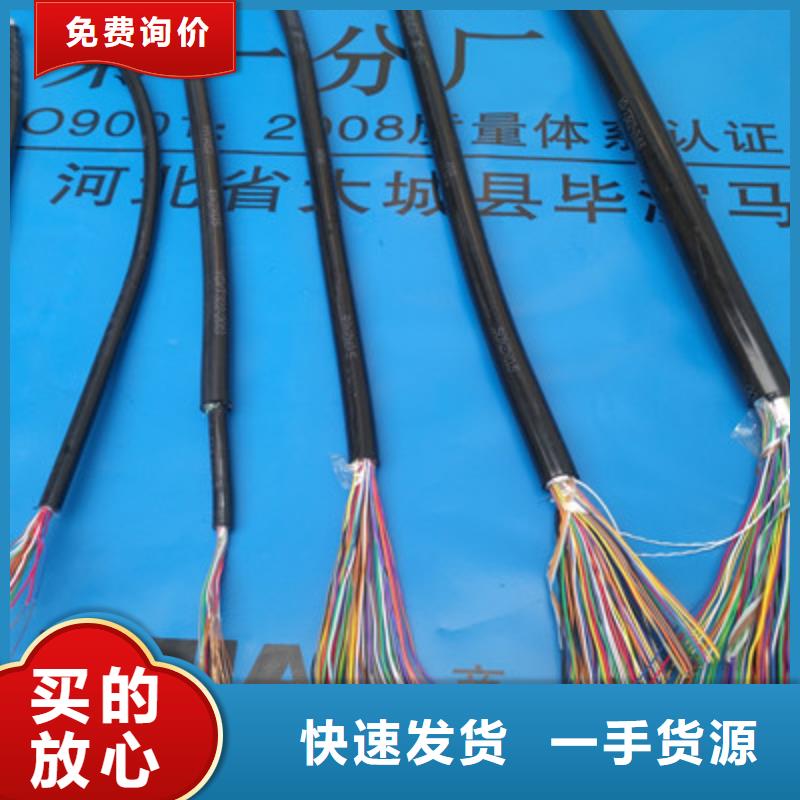 乐山本地ZR-FB-HPVP阻燃通讯电缆生产基地