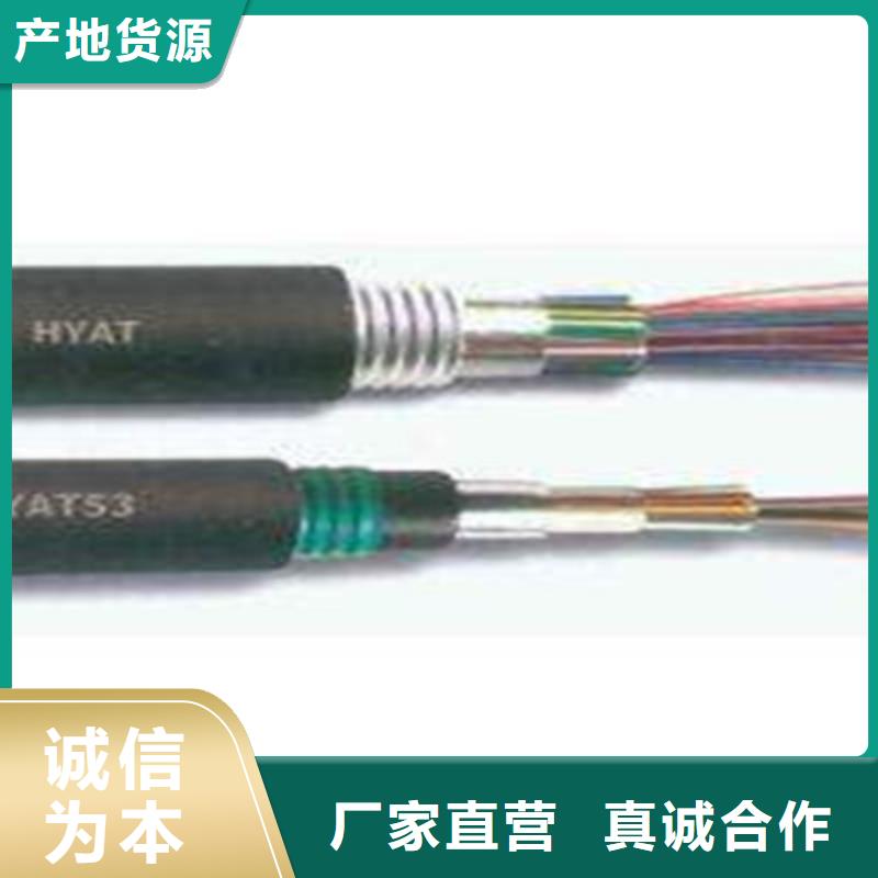 RS232/RS485通讯电缆来图定制