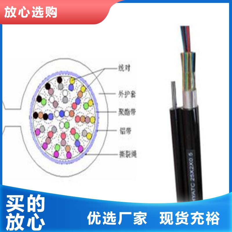 RS485-22铠装通讯电缆批发零售