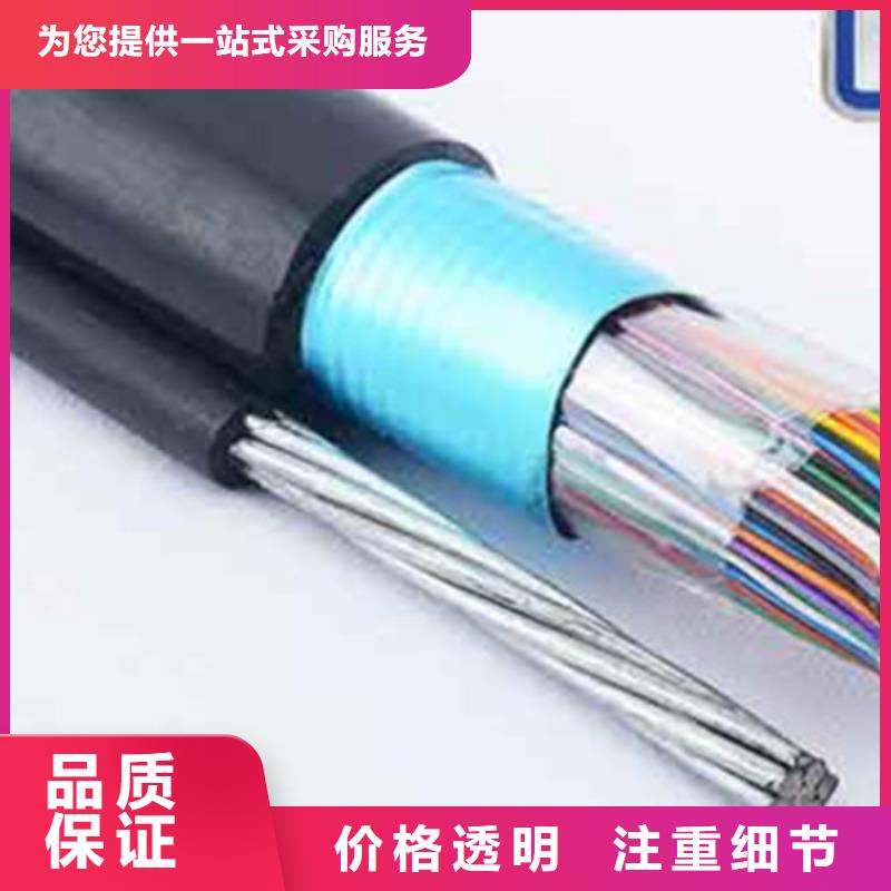 【湘西】[当地]<电缆总厂第一分厂>830-CA04通讯电缆公司_湘西产品案例