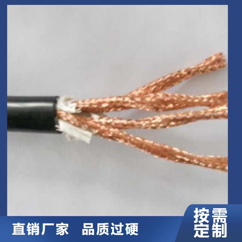 耐火计算机电缆NH-DJYPV223X2X1.5