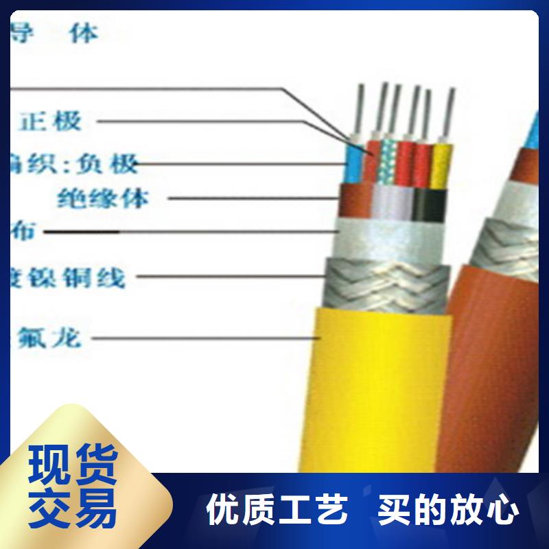 DJFP2VF耐高温计算机电线2X2X0.5