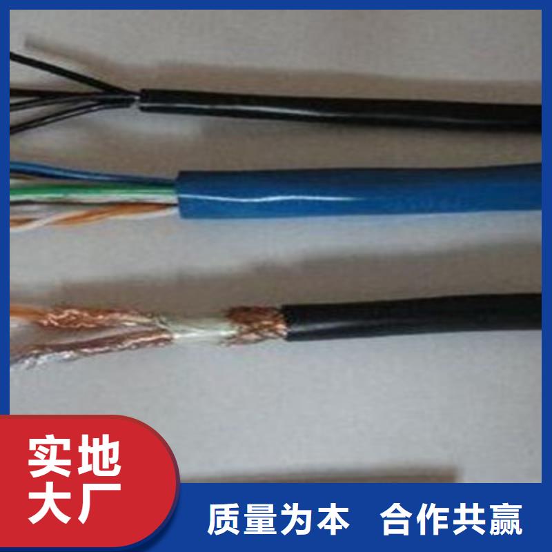 耐高温控制电缆KFP1F22-26037X1.0