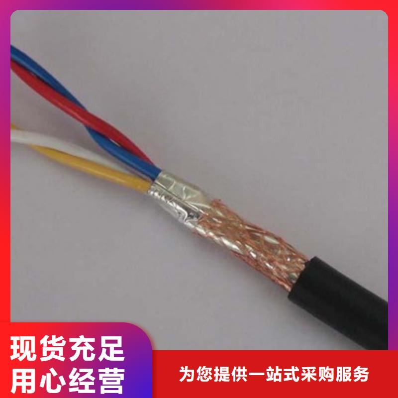 耐高温控制电缆KFVP-2224X1.0