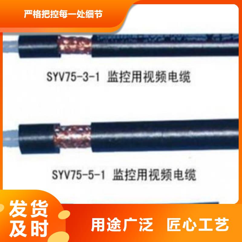 SYP-32屏蔽射频电缆信赖推荐