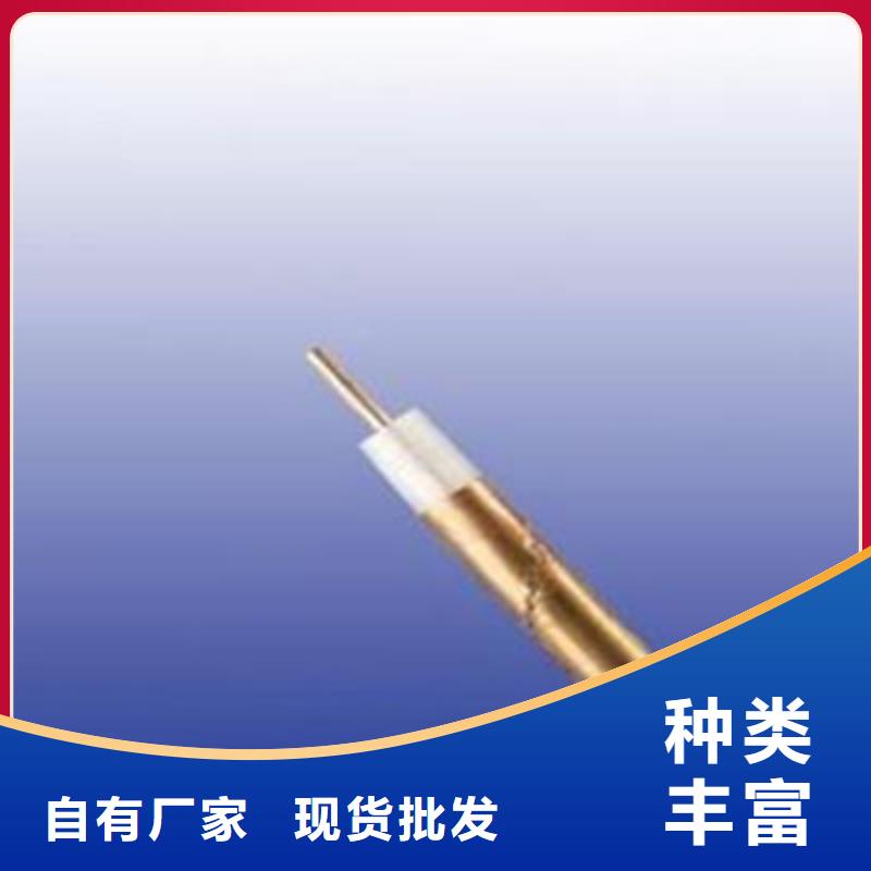 专业生产制造阻燃射频同轴电缆ZR-SYV公司