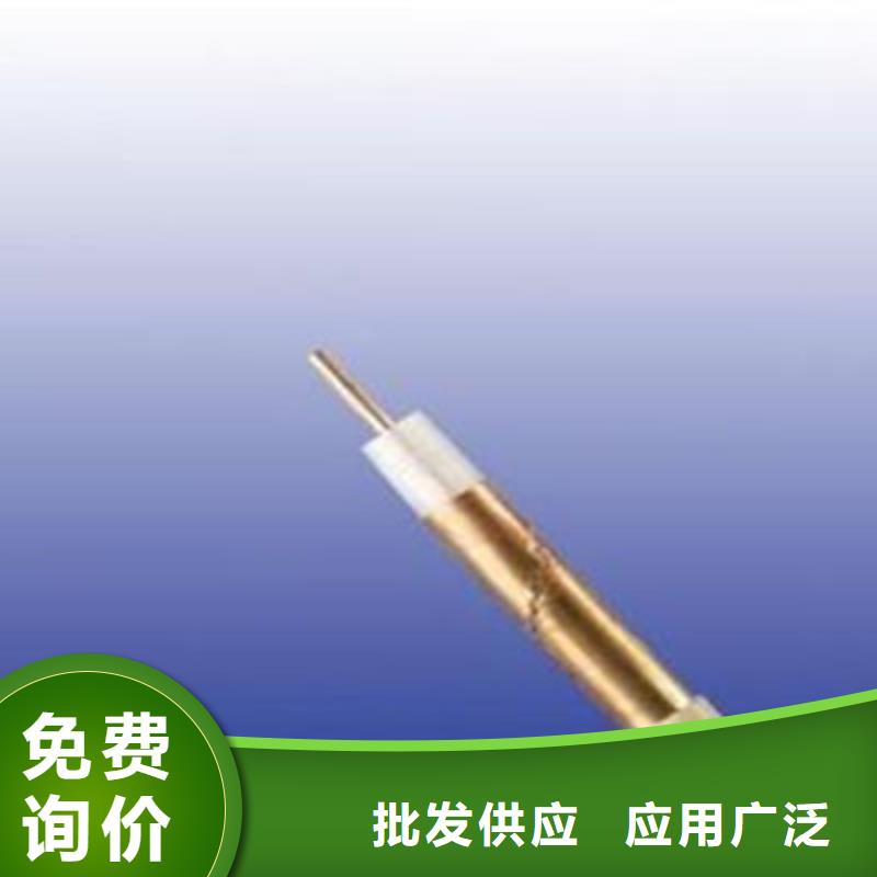 铠装射频同轴电缆SYV2253-50-2