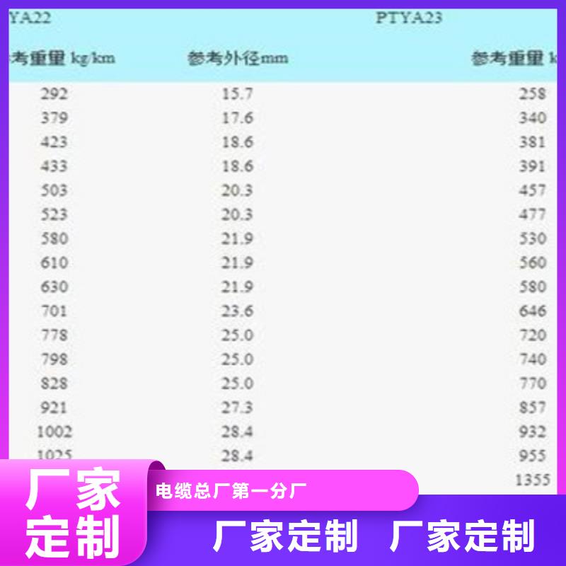 【图】PZYA22铁路信号电缆厂家直销