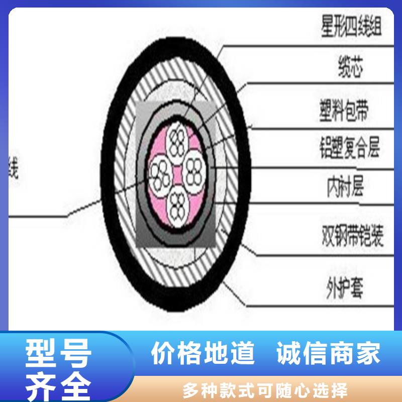 WDZ-48芯铁路信号电缆实体大厂