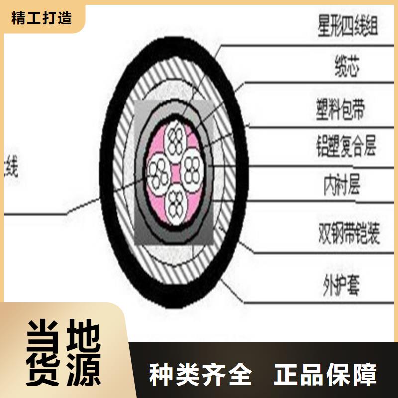 PZY23铁路专用信号线生产