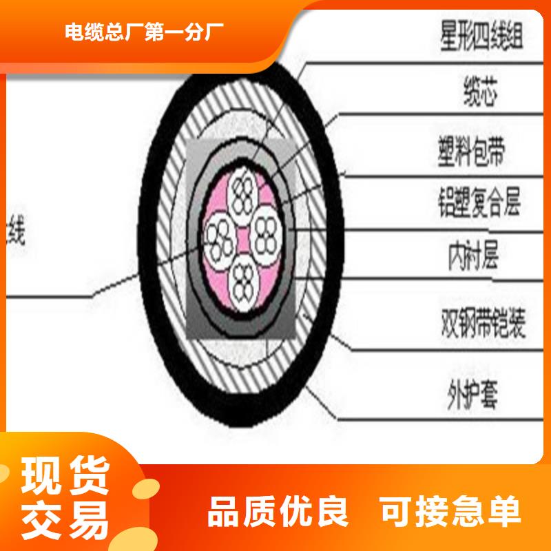 铁路信号电缆PTYA22优质供货商