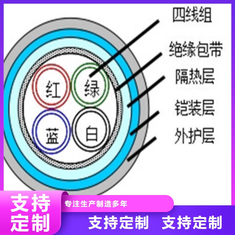 WDZ-P2Y2VH22铁路信号电缆42X1.0