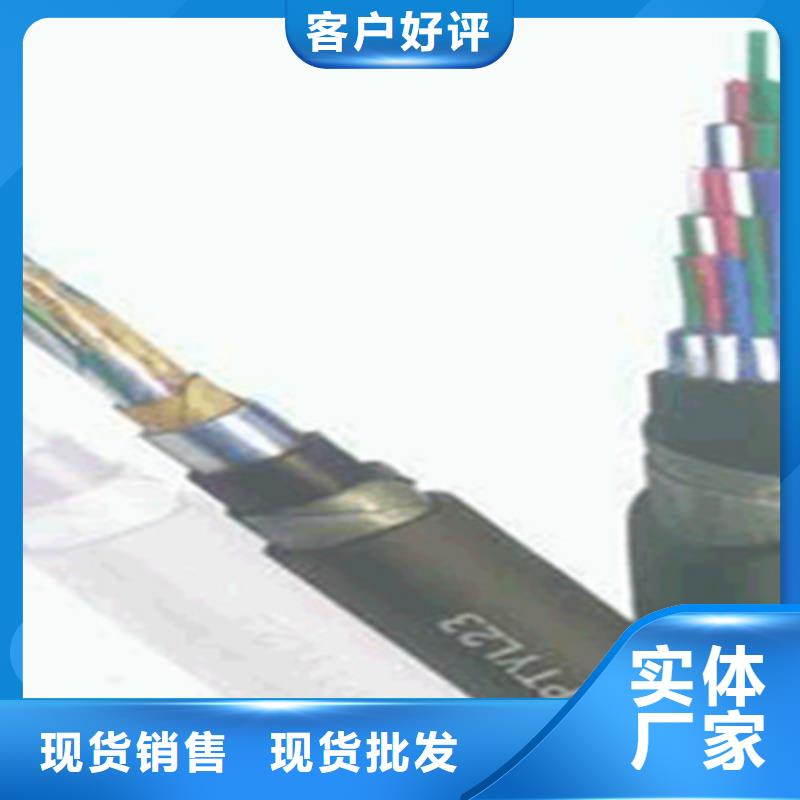 PTYL23铝护套信号电缆4X2