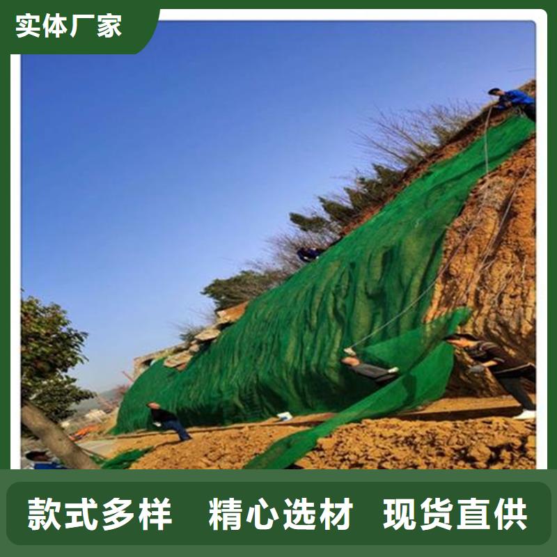 海南【万宁市】周边草皮塑料三维土工网垫
