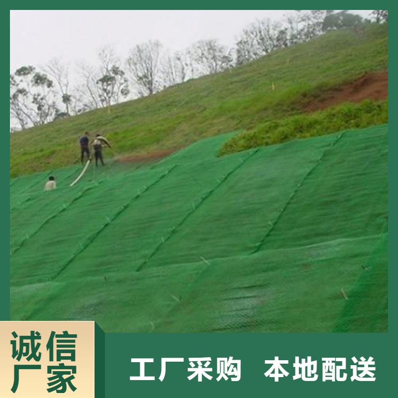 【三维植被网】【防裂贴】好产品价格低