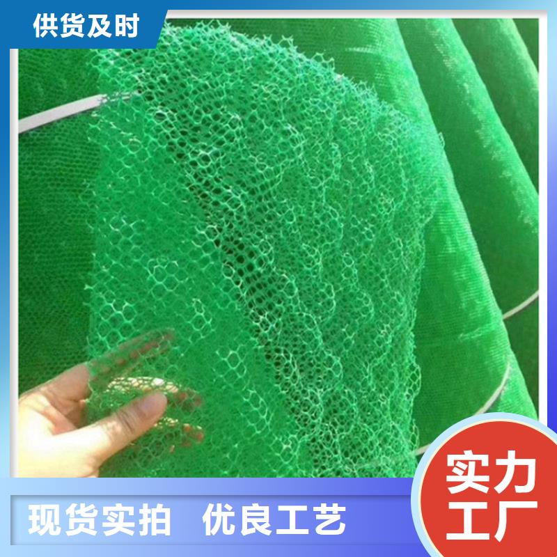 【三维植被网】土工格栅主推产品