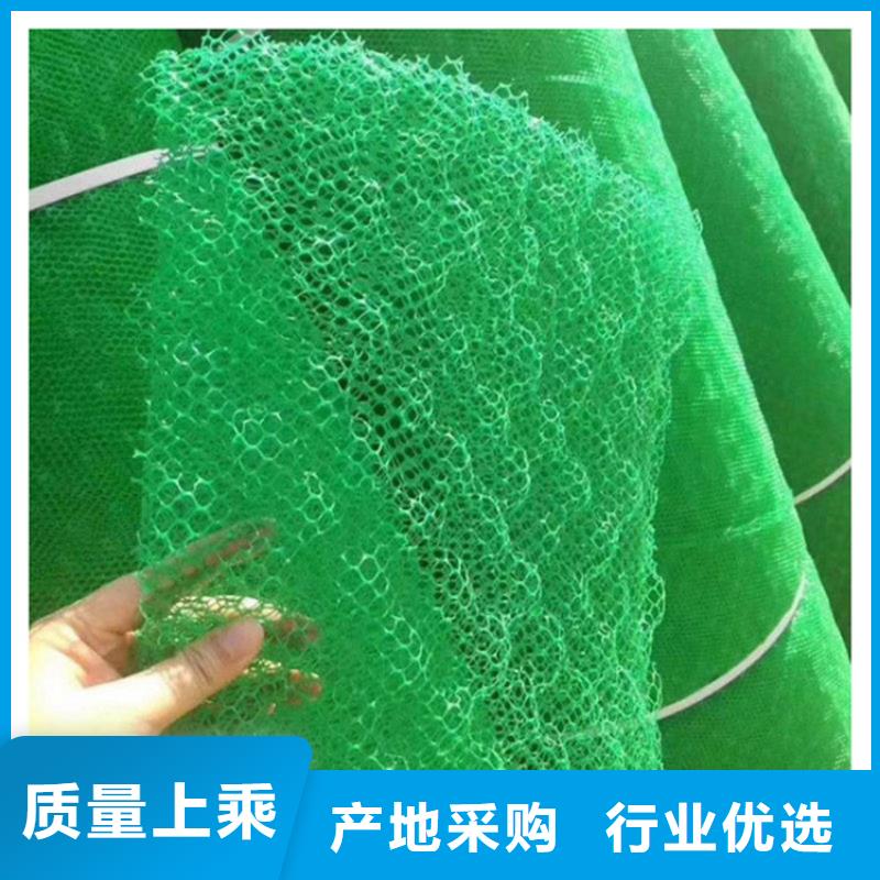 山东淄博现货三维土工网垫护坡塑料