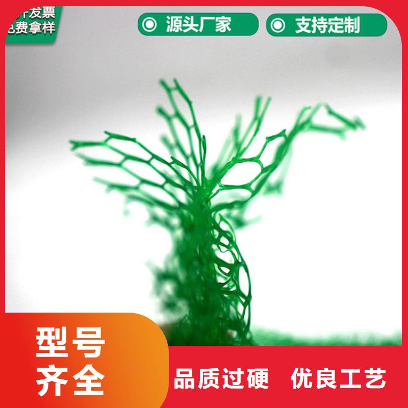 【香港】本地特别行政区护坡植草三维土工网垫价格行情资讯