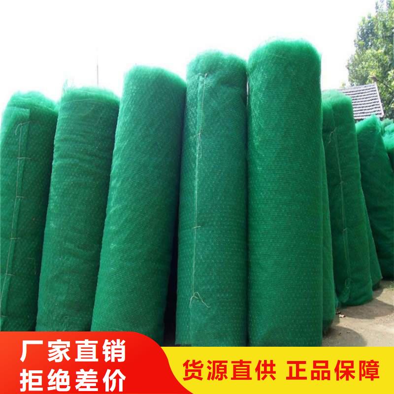 山东淄博现货三维土工网垫护坡塑料
