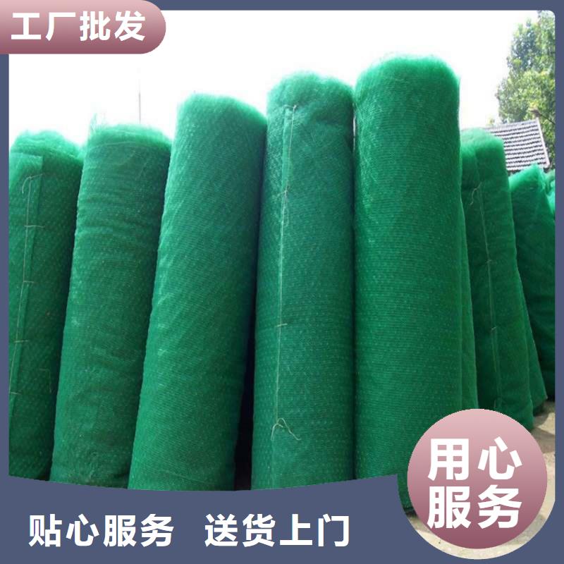 三维植被网防渗膜用心做好每一件产品