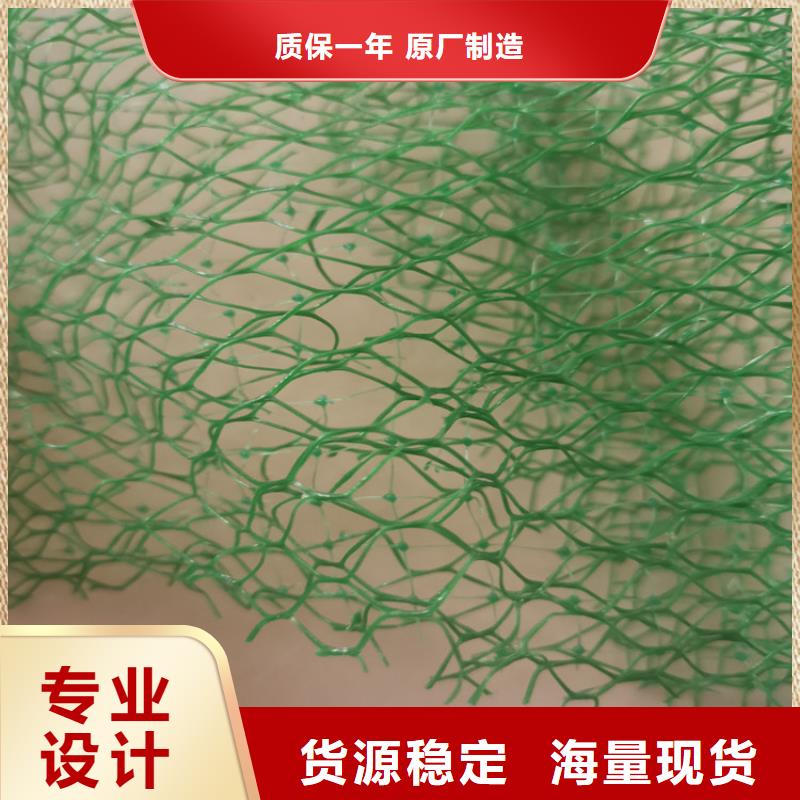 海南【万宁市】周边草皮塑料三维土工网垫