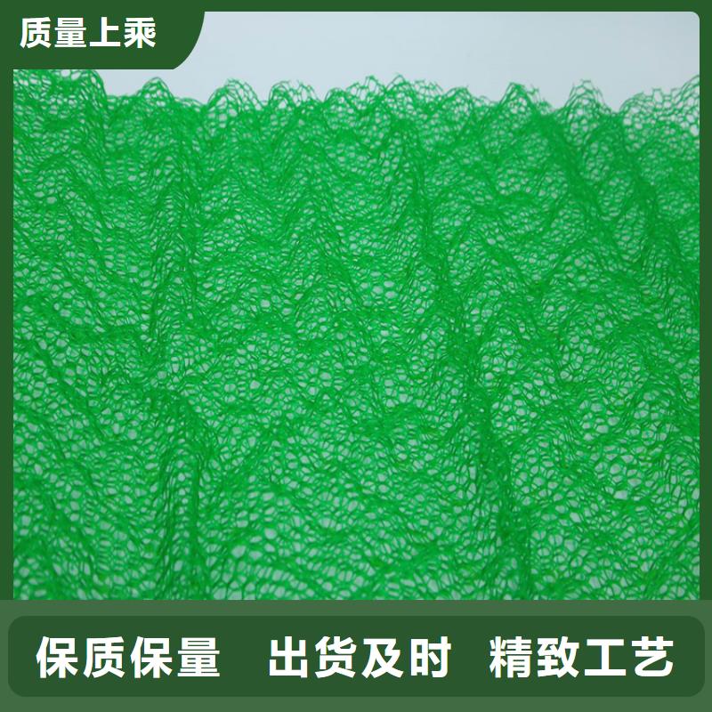 塑料加筋三维土工网垫