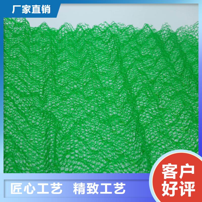 三维植草护坡网垫规格型号