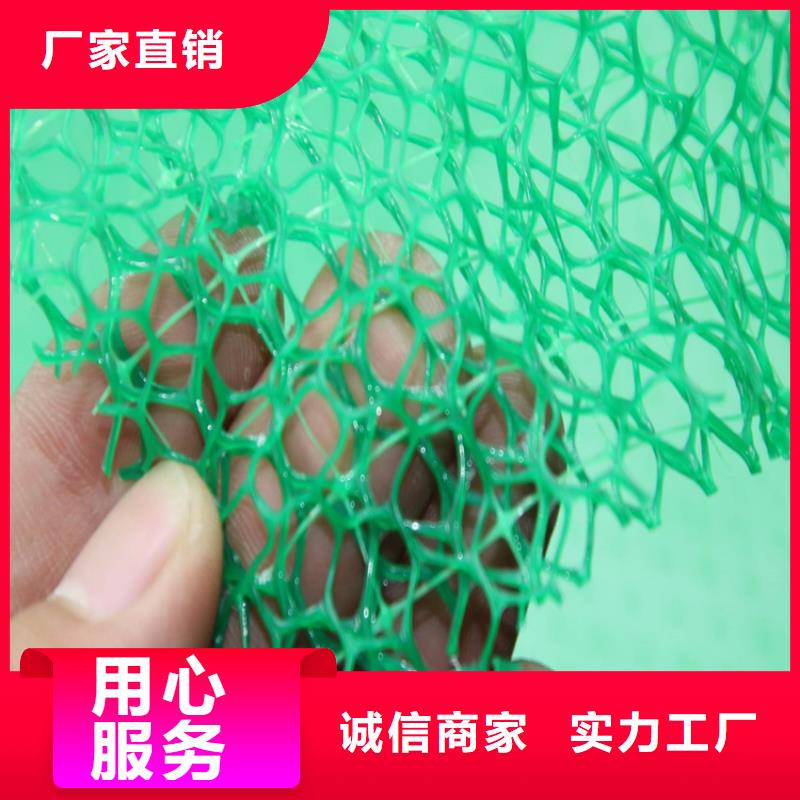 三维植被网HDPE土工膜用心做品质