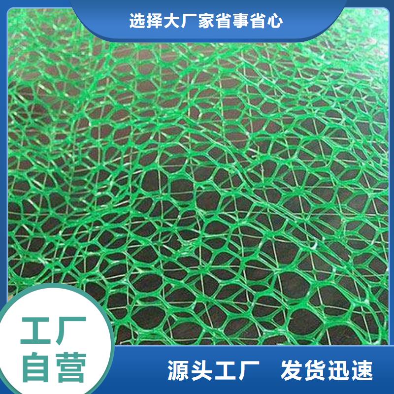 塑料加筋三维植被网