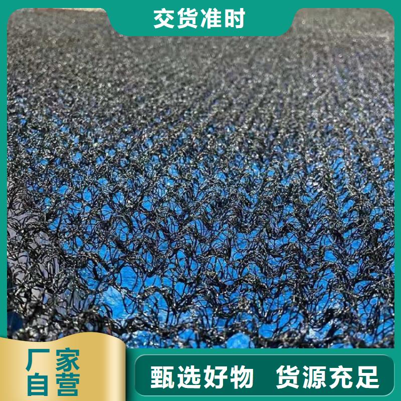 辽宁沈阳销售水土保护毯河道护坡三维生态