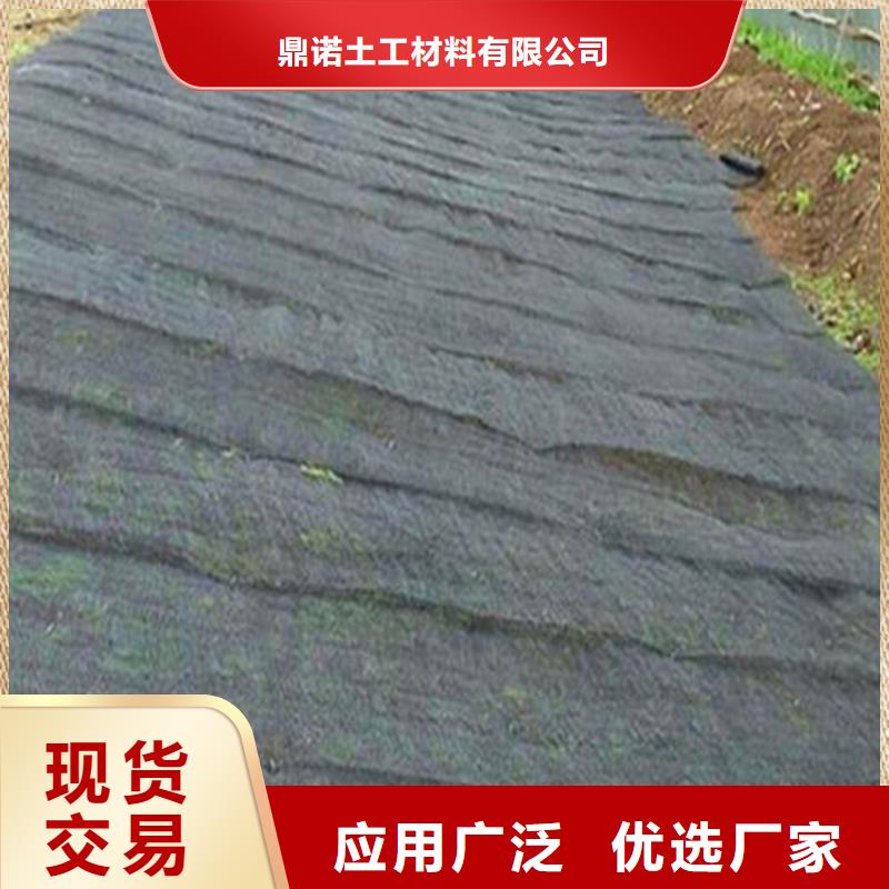 水土保护毯边坡绿化聚丙烯
