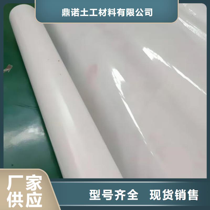 买[鼎诺]防水板塑料盲沟供应商