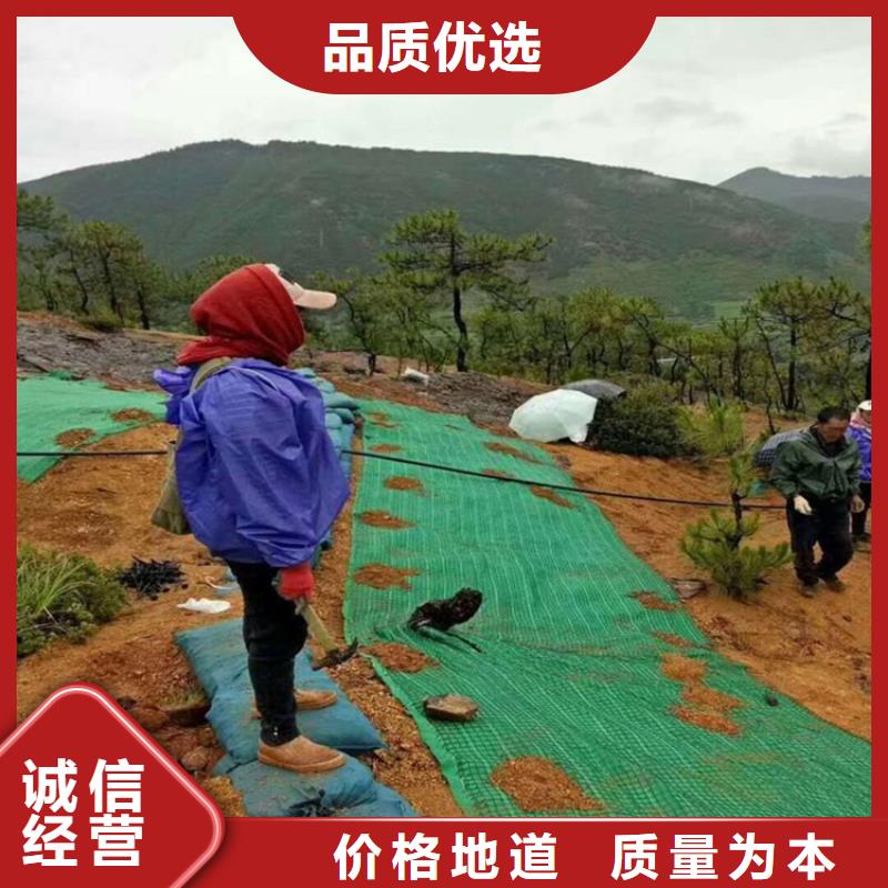 【椰丝毯,防渗膜产地批发】