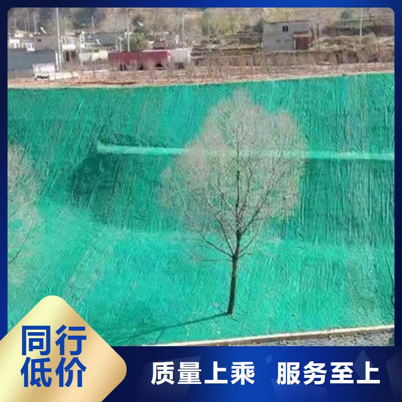 水保抗冲生物毯护坡生态草毯