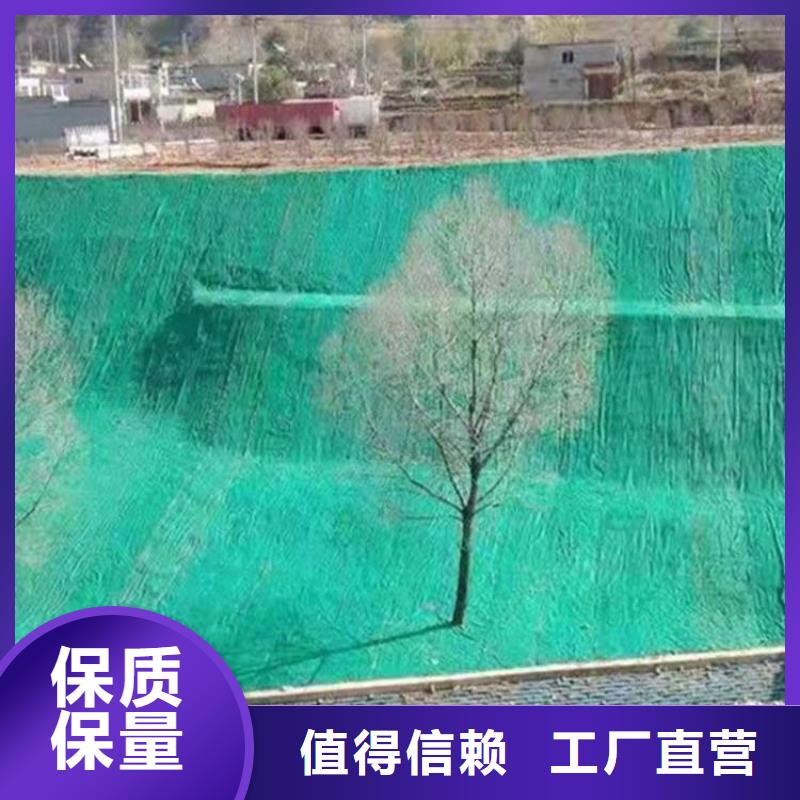 椰丝植生毯场价格查询